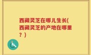 西藏灵芝在哪儿生长(西藏灵芝的产地在哪里？)