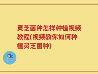 灵芝菌种怎样种植视频教程(视频教你如何种植灵芝菌种)