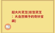 超大片灵芝(巨型灵芝：大自然赐予的奇妙宝藏)