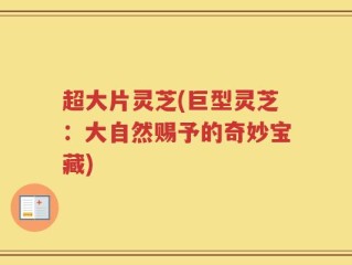 超大片灵芝(巨型灵芝：大自然赐予的奇妙宝藏)