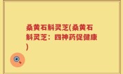 桑黄石斛灵芝(桑黄石斛灵芝：四神药促健康)