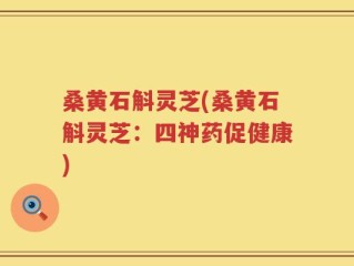 桑黄石斛灵芝(桑黄石斛灵芝：四神药促健康)