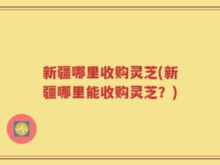 新疆哪里收购灵芝(新疆哪里能收购灵芝？)