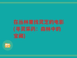 在丛林里找灵芝的电影(寻灵采药：森林中的宝藏)