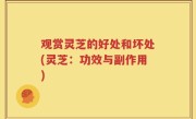 观赏灵芝的好处和坏处(灵芝：功效与副作用)