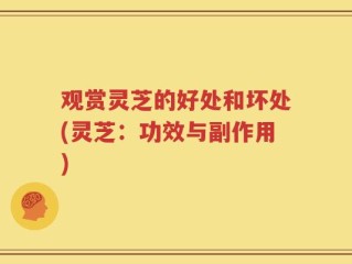观赏灵芝的好处和坏处(灵芝：功效与副作用)