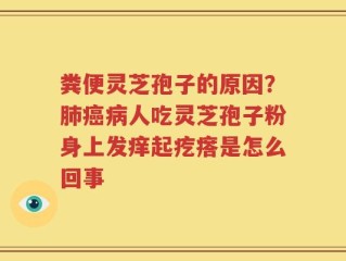 粪便灵芝孢子的原因？肺癌病人吃灵芝孢子粉身上发痒起疙瘩是怎么回事