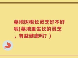 墓地树根长灵芝好不好呢(墓地里生长的灵芝，有益健康吗？)