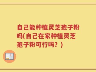 自己能种植灵芝孢子粉吗(自己在家种植灵芝孢子粉可行吗？)