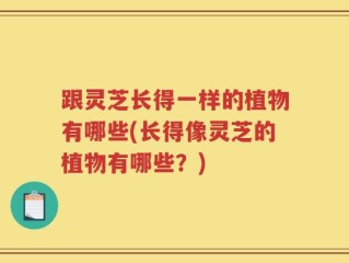 跟灵芝长得一样的植物有哪些(长得像灵芝的植物有哪些？)