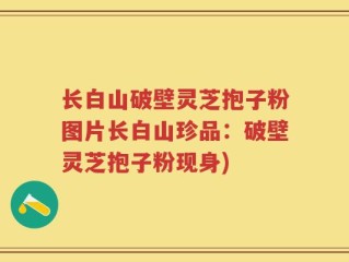 长白山破壁灵芝抱子粉图片长白山珍品：破壁灵芝抱子粉现身)