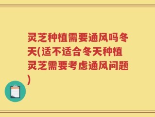 灵芝种植需要通风吗冬天(适不适合冬天种植灵芝需要考虑通风问题)