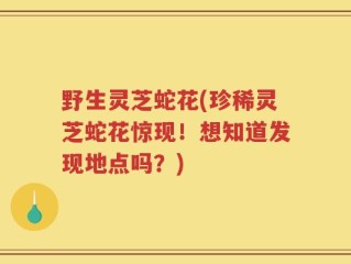 野生灵芝蛇花(珍稀灵芝蛇花惊现！想知道发现地点吗？)