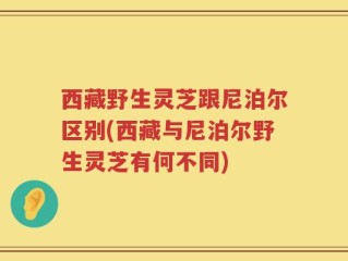 西藏野生灵芝跟尼泊尔区别(西藏与尼泊尔野生灵芝有何不同)