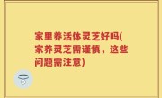 家里养活体灵芝好吗(家养灵芝需谨慎，这些问题需注意)