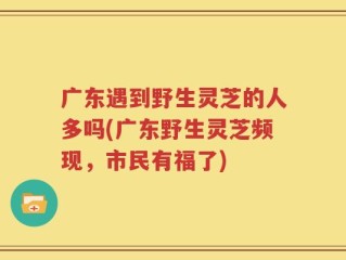 广东遇到野生灵芝的人多吗(广东野生灵芝频现，市民有福了)