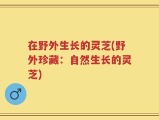 在野外生长的灵芝(野外珍藏：自然生长的灵芝)