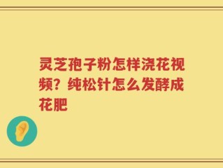 灵芝孢子粉怎样浇花视频？纯松针怎么发酵成花肥