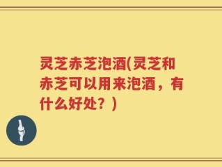 灵芝赤芝泡酒(灵芝和赤芝可以用来泡酒，有什么好处？)