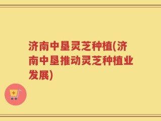济南中垦灵芝种植(济南中垦推动灵芝种植业发展)