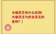 大棚灵芝有什么区别(大棚灵芝与野生灵芝的差别？)