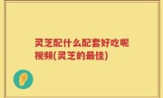 灵芝配什么配套好吃呢视频(灵芝的最佳)