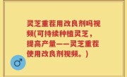 灵芝重茬用改良剂吗视频(可持续种植灵芝，提高产量——灵芝重茬使用改良剂视频。)