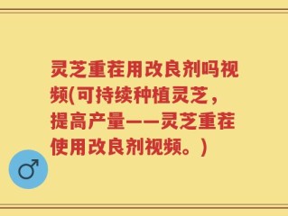 灵芝重茬用改良剂吗视频(可持续种植灵芝，提高产量——灵芝重茬使用改良剂视频。)