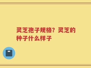 灵芝孢子规格？灵芝的种子什么样子