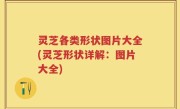 灵芝各类形状图片大全(灵芝形状详解：图片大全)