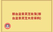 邢台盆景灵芝批发(邢台盆景灵芝大宗采购)