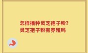 怎样播种灵芝孢子粉？灵芝孢子粉有养殖吗
