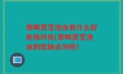 常喝灵芝泡水有什么好处和坏处(常喝灵芝泡水的优缺点分析)