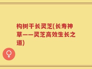 构树干长灵芝(长寿神草——灵芝高效生长之道)