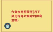 六盘水月照灵芝(月下灵芝探寻六盘水的神奇生物)