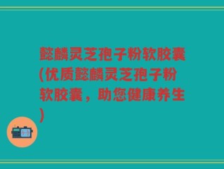 懿麟灵芝孢子粉软胶囊(优质懿麟灵芝孢子粉软胶囊，助您健康养生)