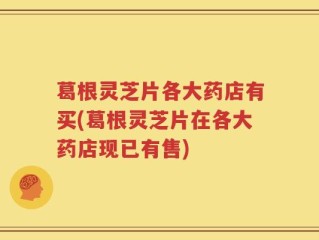 葛根灵芝片各大药店有买(葛根灵芝片在各大药店现已有售)