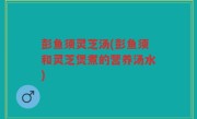 彭鱼须灵芝汤(彭鱼须和灵芝煲煮的营养汤水)