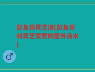 彭鱼须灵芝汤(彭鱼须和灵芝煲煮的营养汤水)