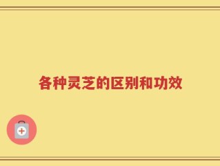 各种灵芝的区别和功效