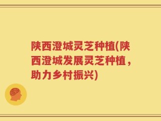 陕西澄城灵芝种植(陕西澄城发展灵芝种植，助力乡村振兴)