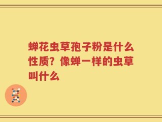 蝉花虫草孢子粉是什么性质？像蝉一样的虫草叫什么