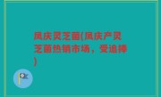凤庆灵芝菌(凤庆产灵芝菌热销市场，受追捧)