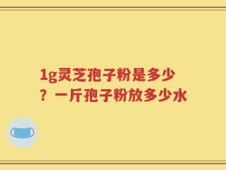 1g灵芝孢子粉是多少？一斤孢子粉放多少水