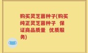 购买灵芝菌种子(购买纯正灵芝菌种子  保证商品质量  优质服务)