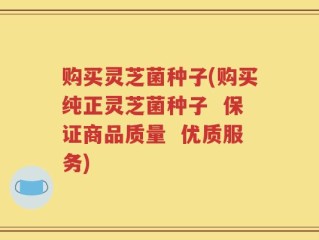 购买灵芝菌种子(购买纯正灵芝菌种子  保证商品质量  优质服务)