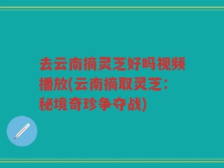 去云南摘灵芝好吗视频播放(云南摘取灵芝：秘境奇珍争夺战)