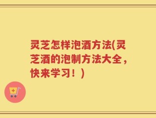 灵芝怎样泡酒方法(灵芝酒的泡制方法大全，快来学习！)