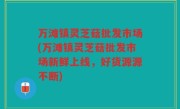 万滩镇灵芝菇批发市场(万滩镇灵芝菇批发市场新鲜上线，好货源源不断)