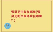 雪灵芝生长在哪里(雪灵芝的生长环境在哪里？)
